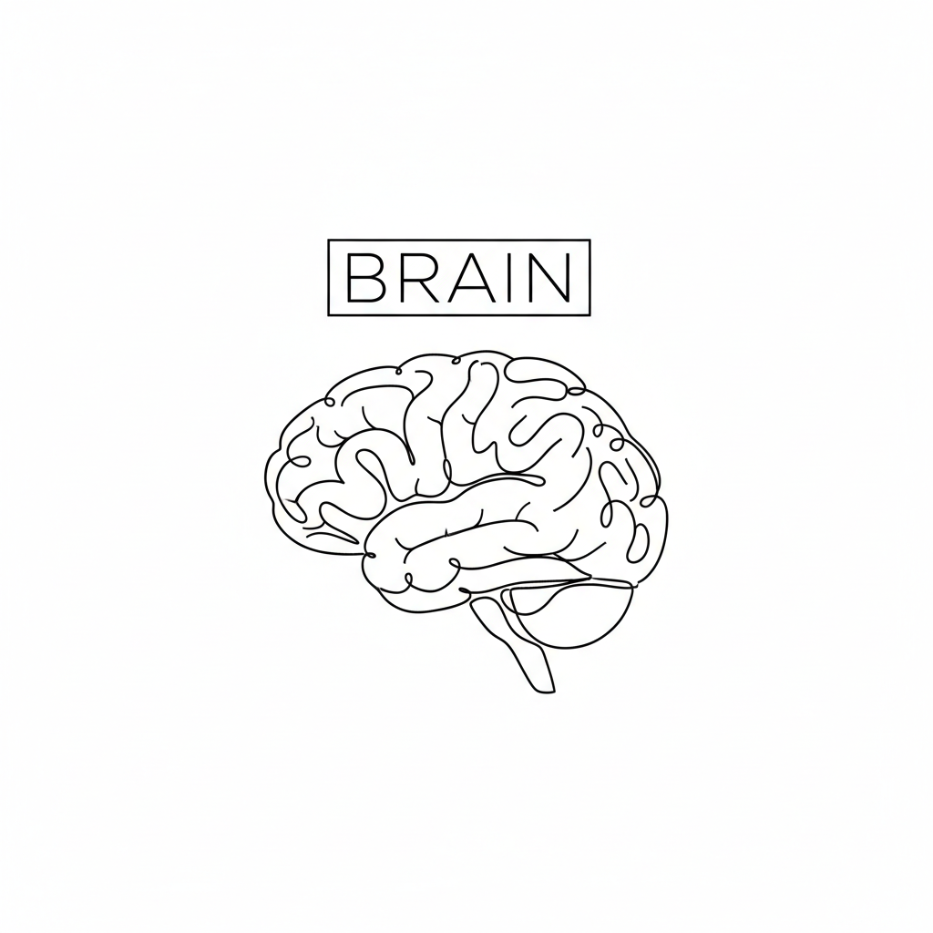 the brain